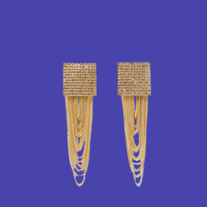 Two-tone Earrings